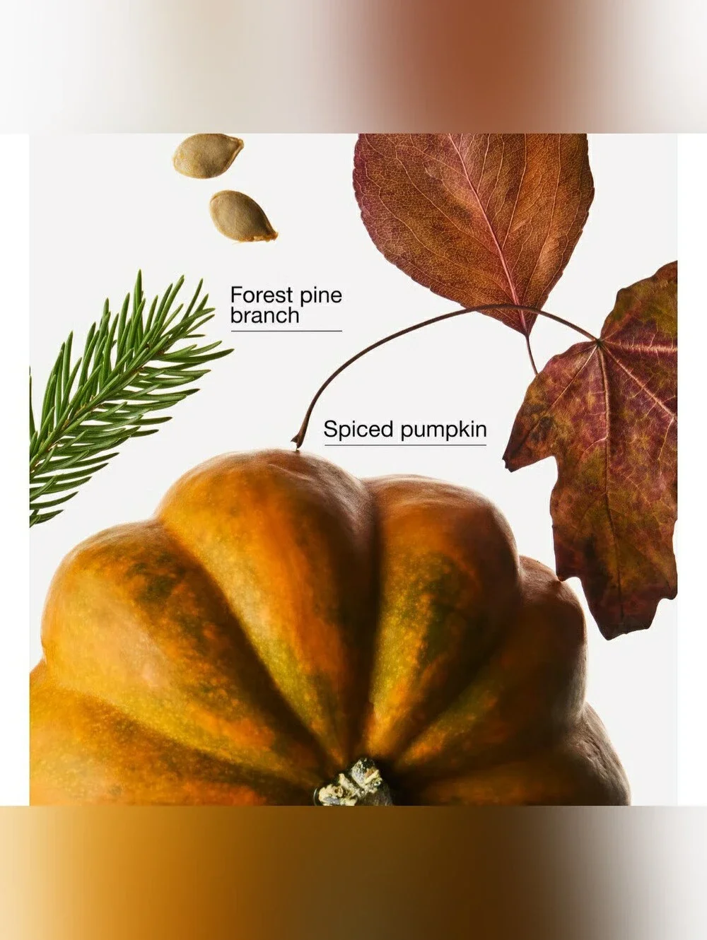 FALL FARMHOUSE -Bath & Body Works Candle Wax Melts- $8 per pack